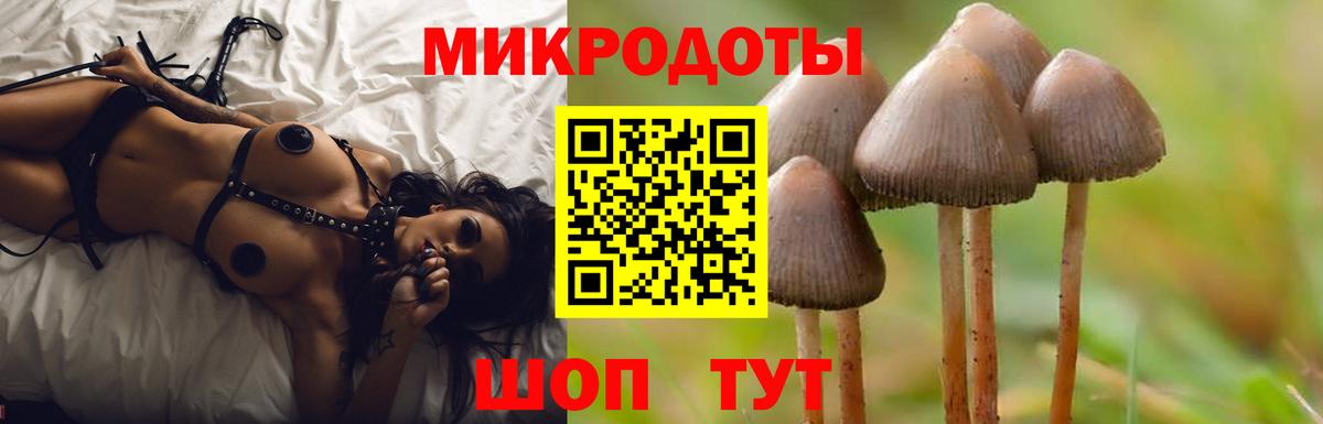 Галлюциногенные грибы прущие грибы Славянск-на-Кубани